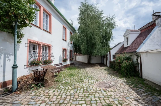 Půjčka pro firmy se záznamem v registru 2026 | REKA